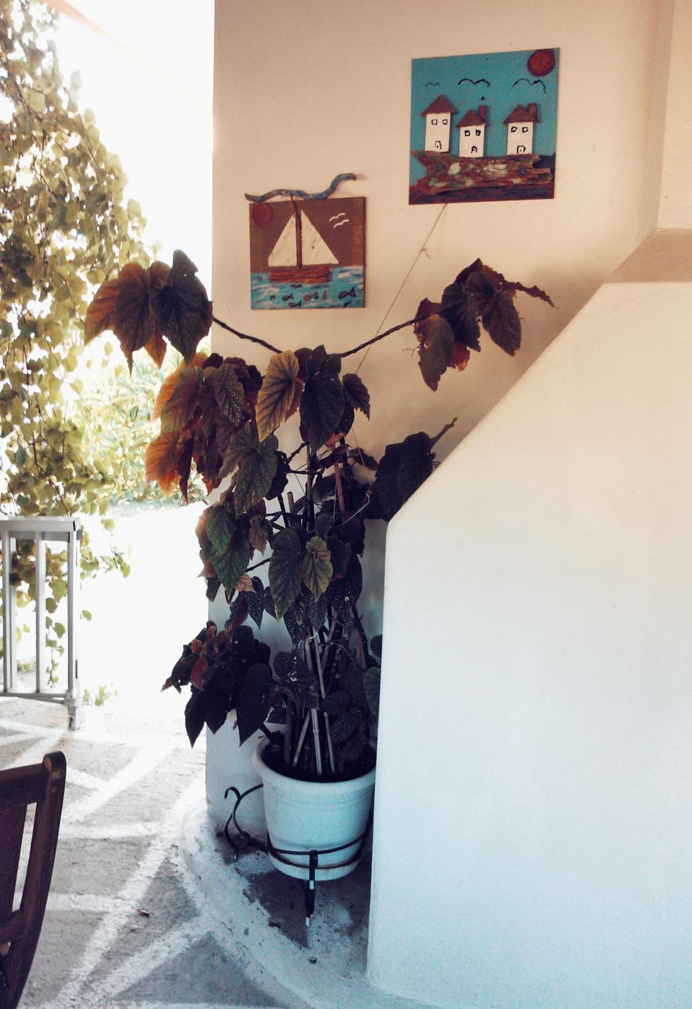 Panormitis House