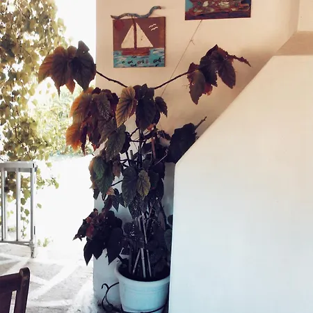 Panormitis House Apartment Kefalos  Exterior photo